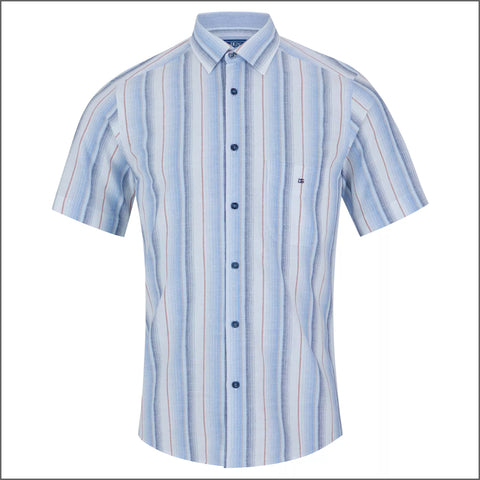 Dg's Light Blue Stripe Shirt SSº
