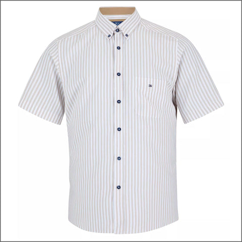 Dg's Brown & White Stripe Shirt SSº