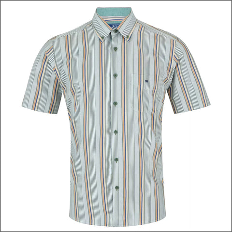 Dg's Green Stripe Shirt SSº