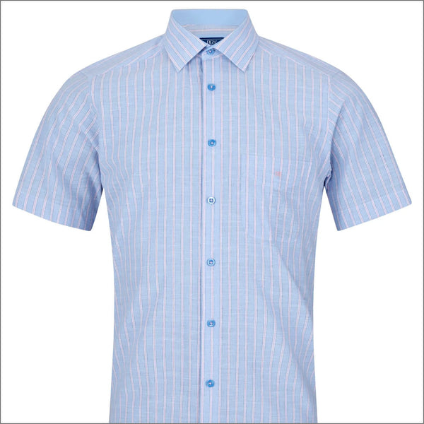 Dg's Blue Stripe Short Sleeves.