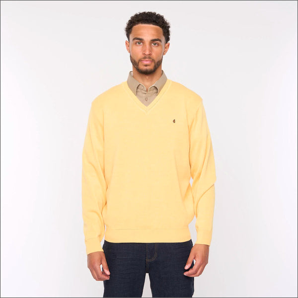 Gabicci K01 Pineapple V Neck*