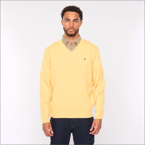 Gabicci K01 Pineapple V Neck*